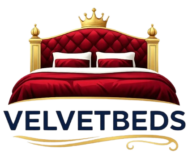 untitled design removebg preview